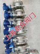 更反映出其在细分领域的